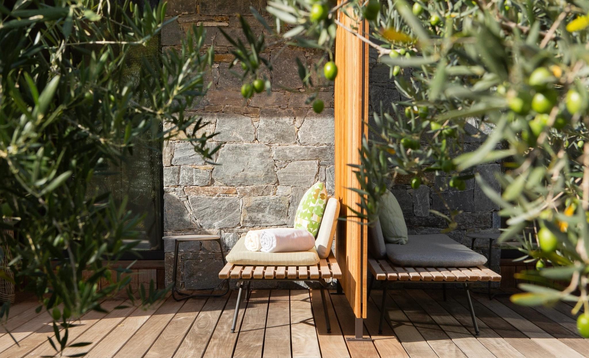 Table et fauteuils installés en terrasse avec vue directe sur la nature